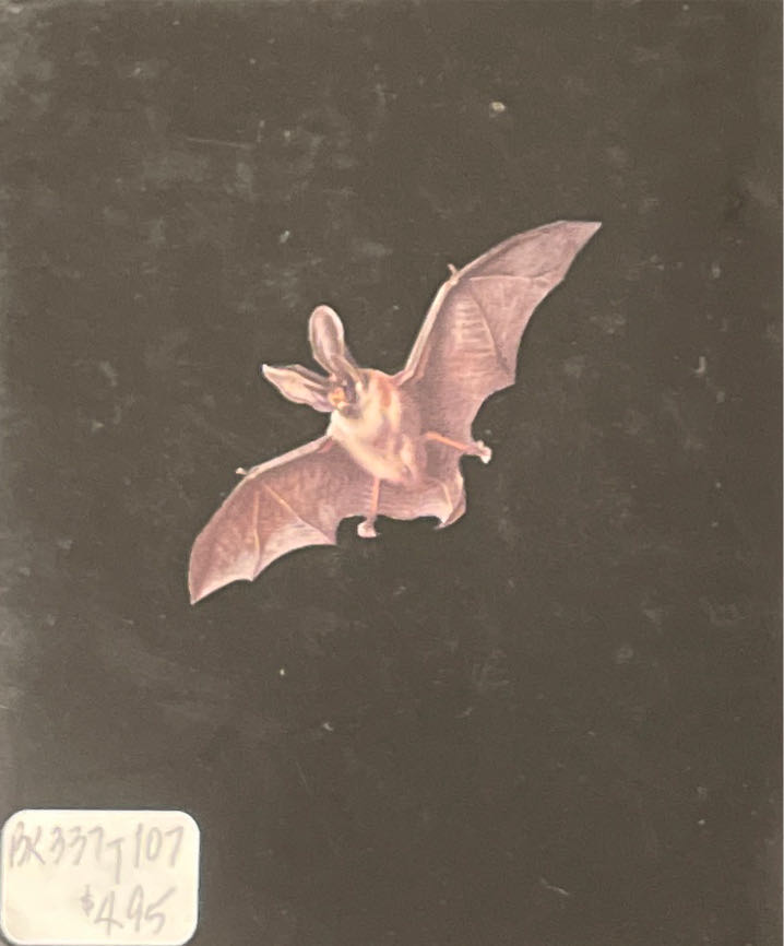 Vampires - Ariel Books (Andrews McMeel Publishing - Hardcover) book collectible [Barcode 9780836215250] - Main Image 2