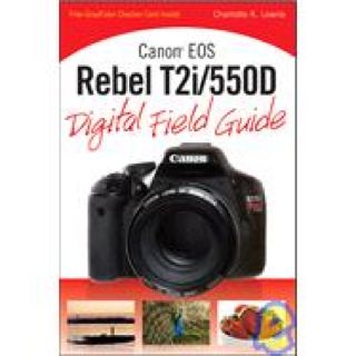 The Desert Lords Baby[eBook]