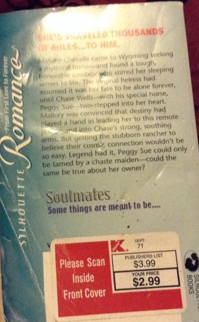 Her Last Chance - Deanna Talcott (Silhouette) book collectible [Barcode 9780373196289] - Main Image 2