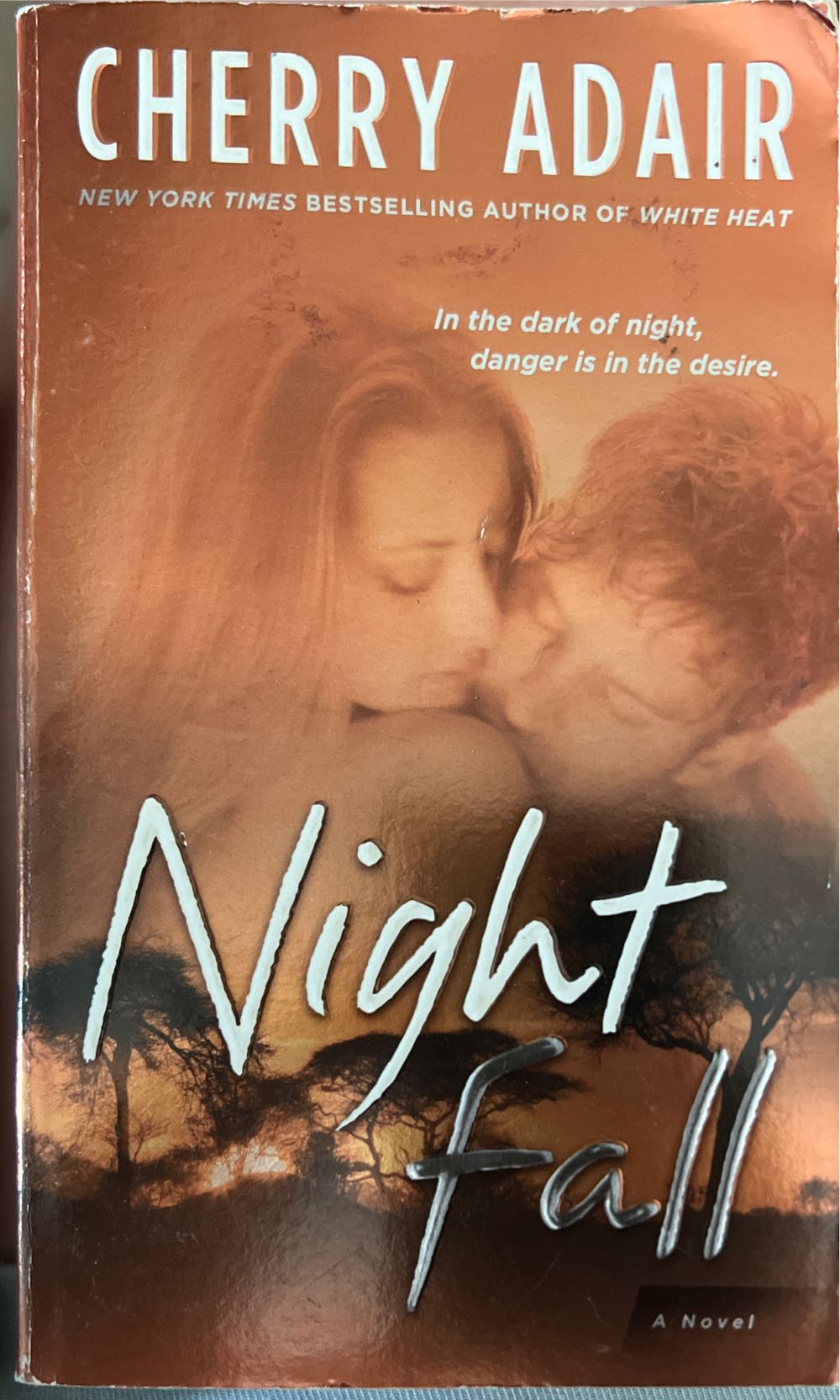 Night Fall - Cherry Adair (Ballantine Books - Paperback) book collectible [Barcode 9780345499905] - Main Image 2