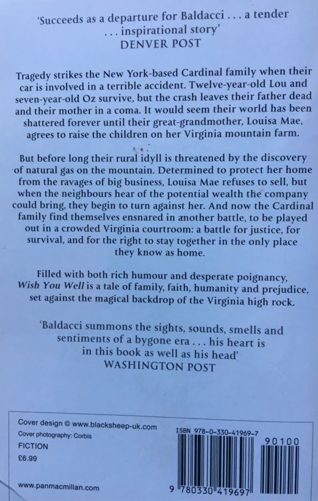 Wish You Well - David Baldacci (Pan Books - Paperback) book collectible [Barcode 9780330419697] - Main Image 2