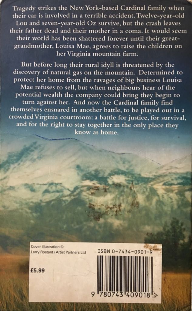 Wish You Well - David Baldacci (Pocket Books - Paperback) book collectible [Barcode 9780743409018] - Main Image 2