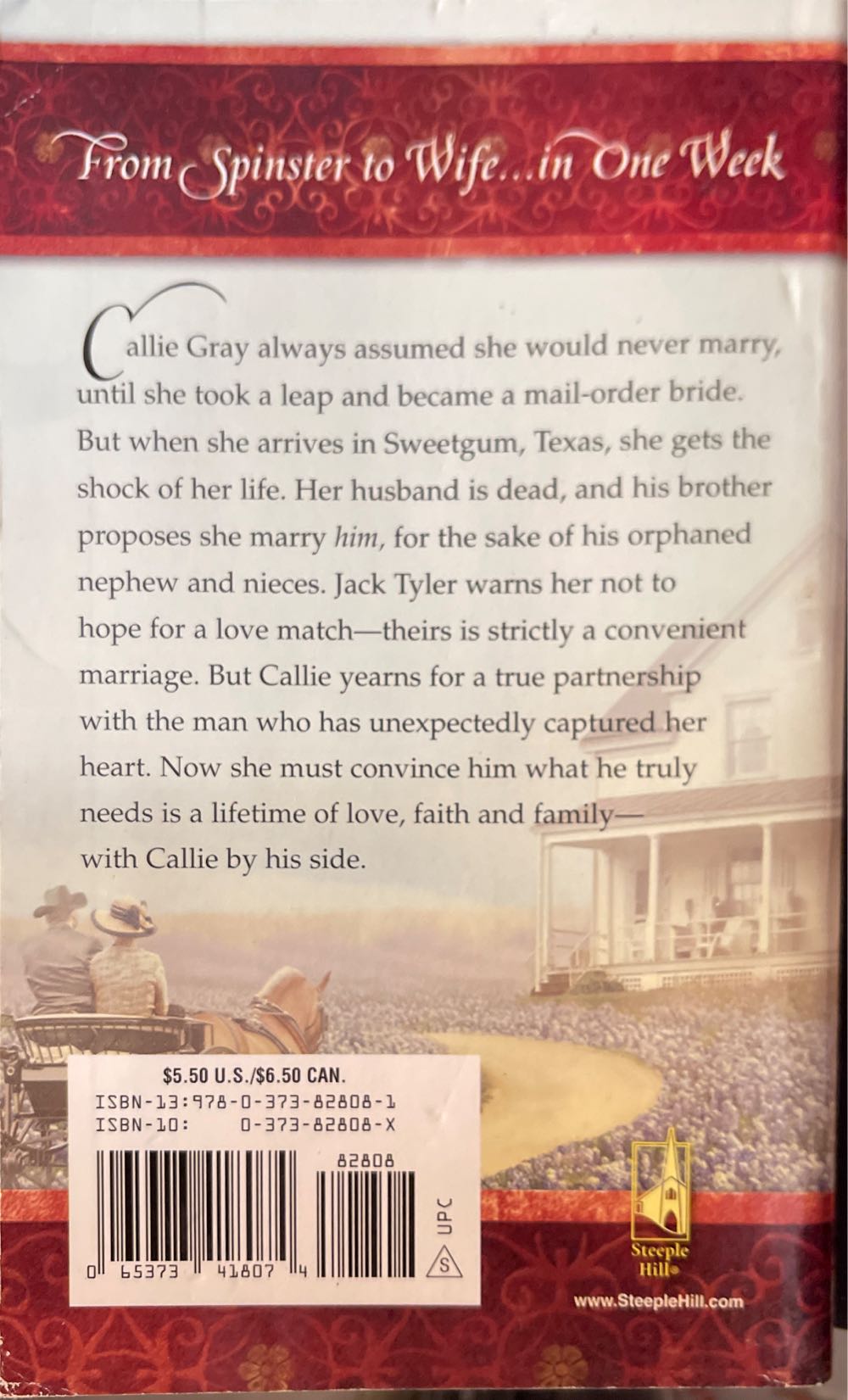 The Hand-Me-Down Family - Griggs, Winnie book collectible [Barcode 9780373828081] - Main Image 2