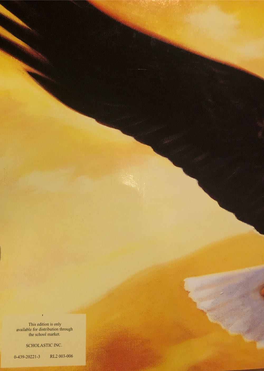 All the Colors of the Earth - Sheila Hamanaka (Scholastic - Paperback) book collectible [Barcode 9780439202213] - Main Image 2