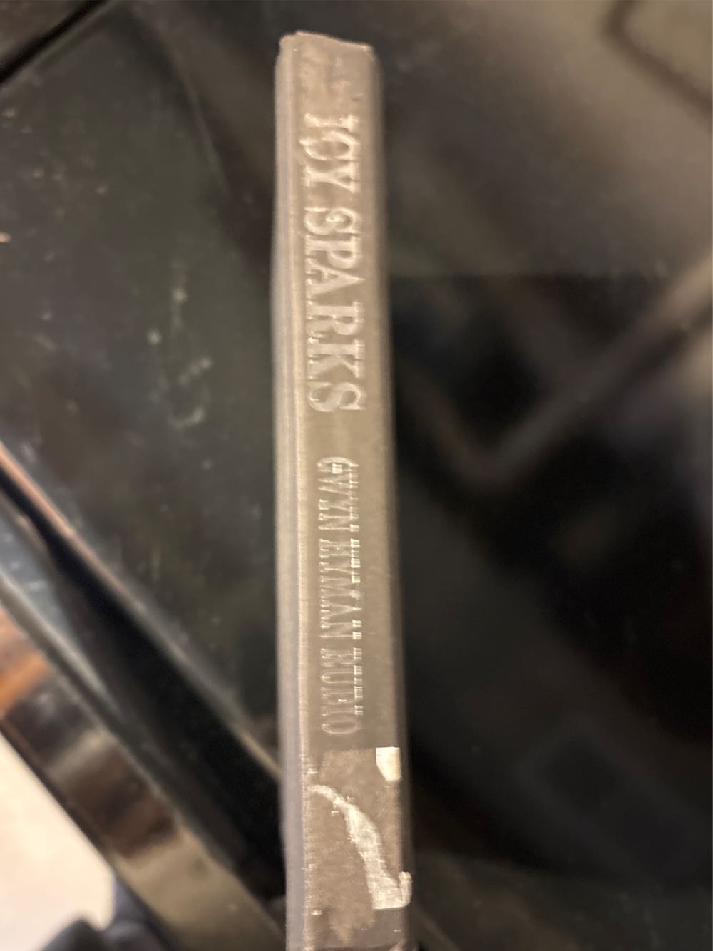 Icy Sparks - Gwyn Hyman Rubio (- Hardcover) book collectible [Barcode 9780739417669] - Main Image 2