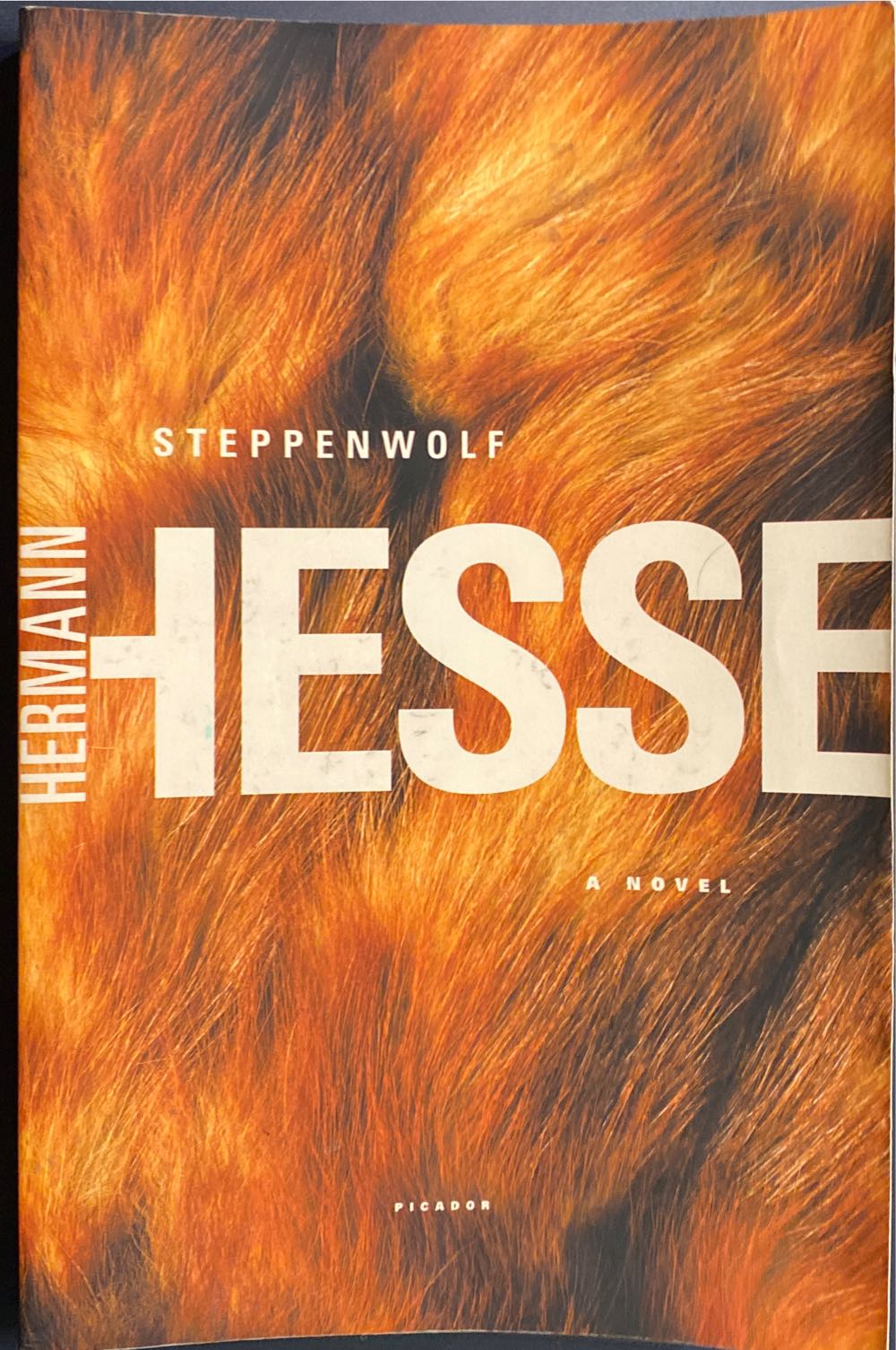 Steppenwolf - Hermann Hesse (Picador USA - Trade Paperback) book collectible [Barcode 9780312278670] - Main Image 3