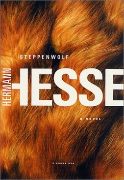 Steppenwolf - Hermann Hesse (Bantam Books - Paperback) book collectible [Barcode 9780553208047] - Main Image 1