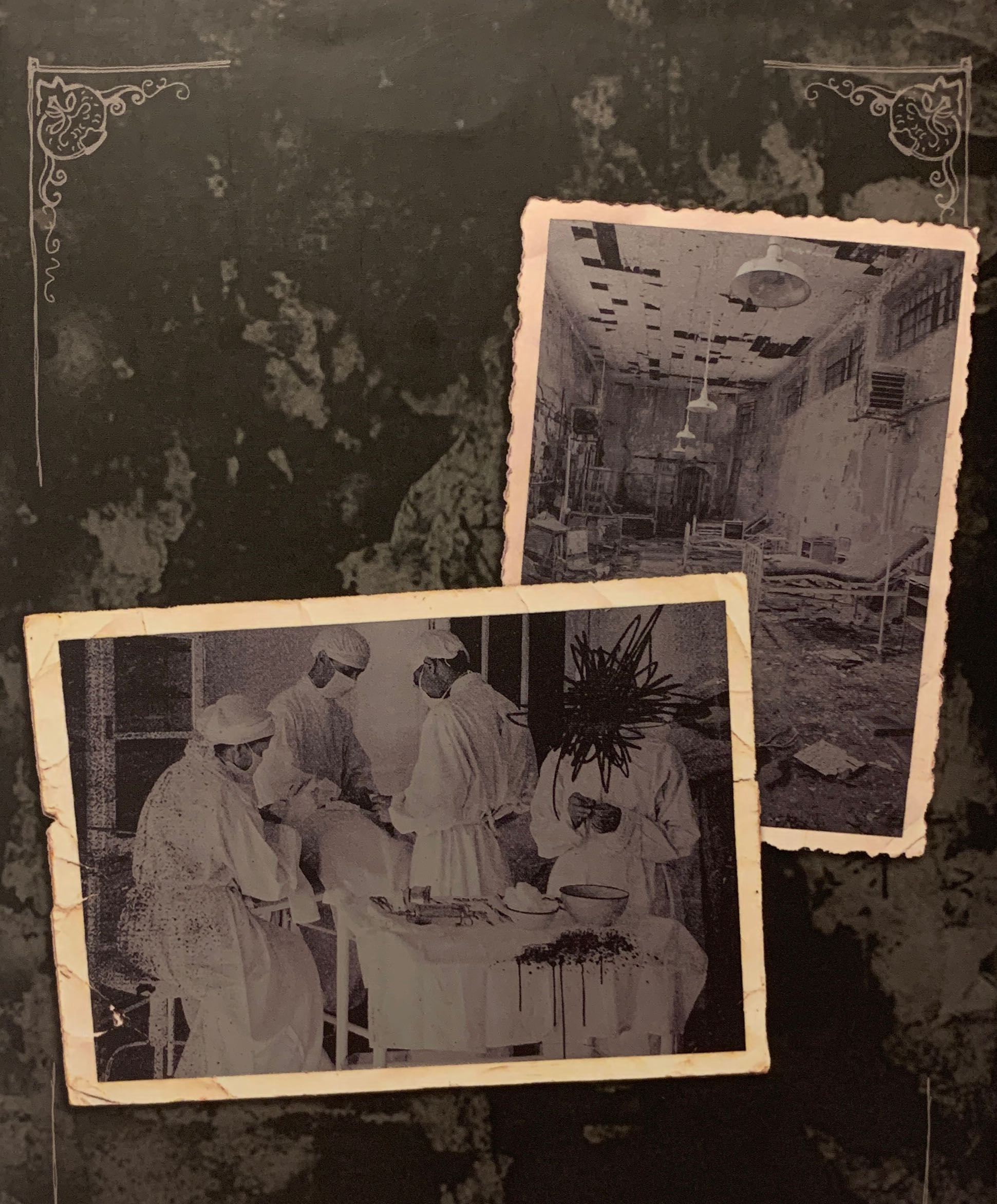 Asylum - Madeleine Roux (Harpercollins Childrens Books - Hardcover) book collectible [Barcode 9780062220967] - Main Image 2