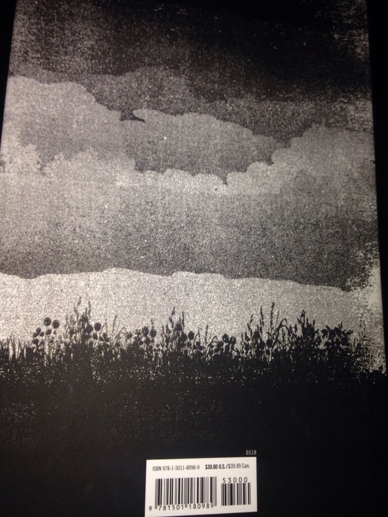 The Outsider - Stephen King (Scribner - Hardcover) book collectible [Barcode 9781501180989] - Main Image 2