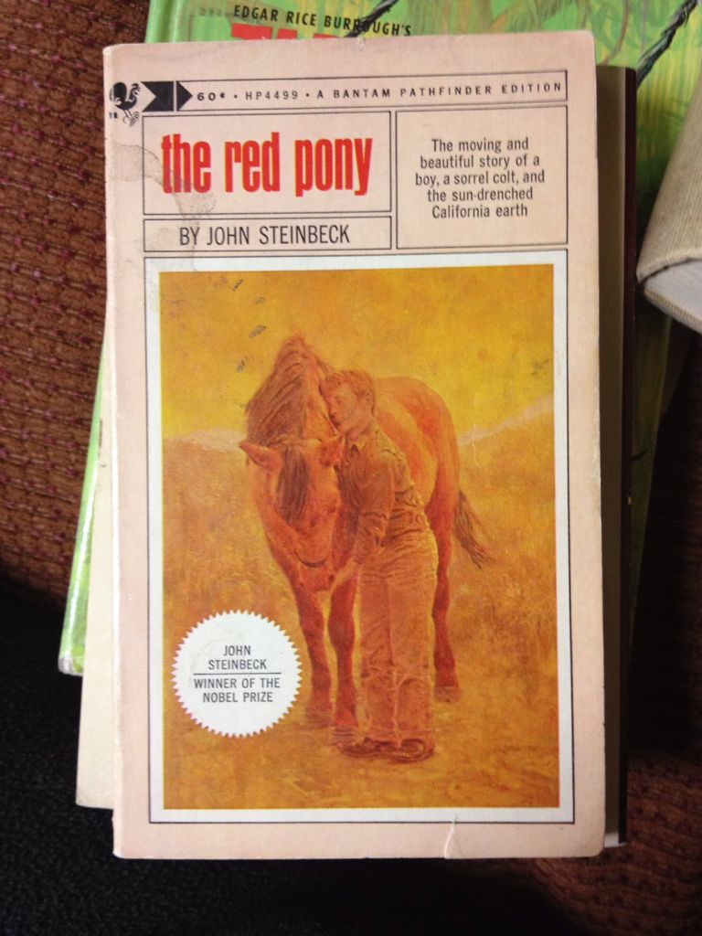 Kidnapping of Kenzie Thorn, The