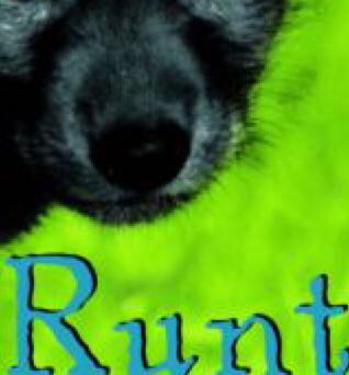 Percy Jackson and the Last Olympian