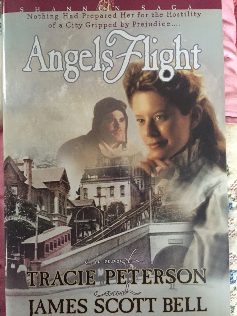 Angels Flight  (Bethany House Publishers - Hardcover) book collectible [Barcode 9780739420829] - Main Image 1