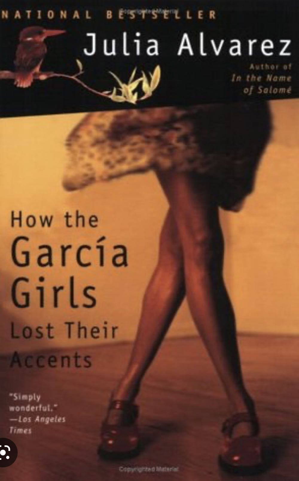 How The Garcia Girls Lost Their Accents - Julia Alvarez (- eBook) book collectible [Barcode 9781565129757] - Main Image 3