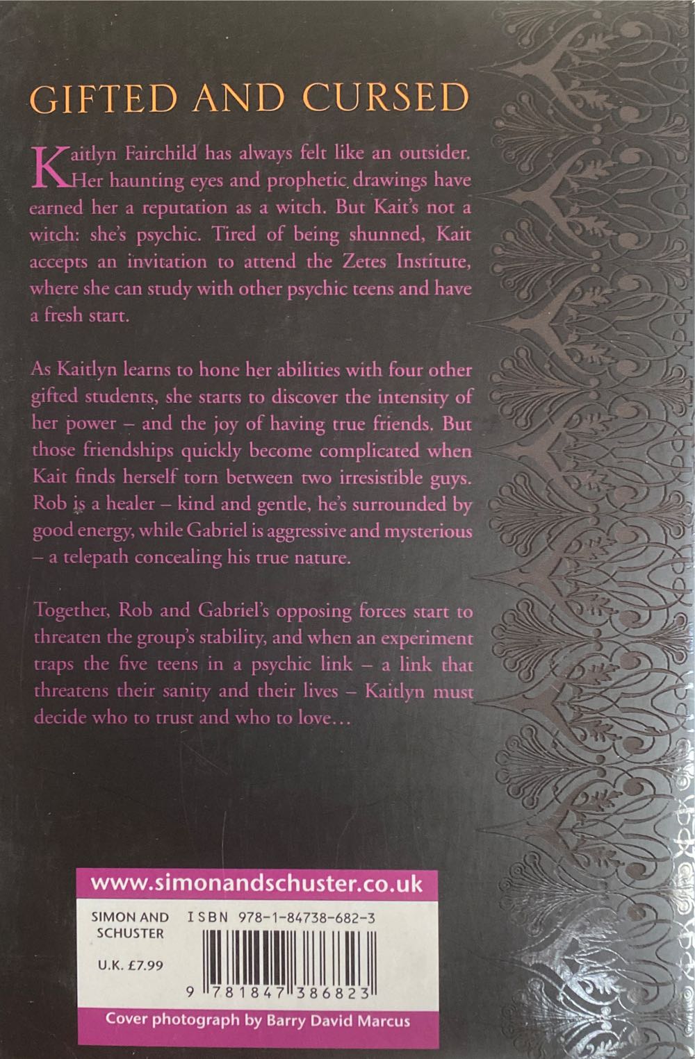 Dark Visions - L.J. Smith (Simon and Schuster - Paperback) book collectible [Barcode 9781847386823] - Main Image 2