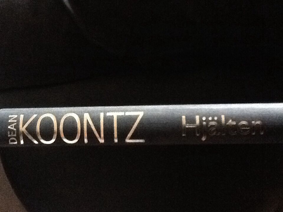 The Good Guy - Dean Koontz (Bantam - Hardcover) book collectible [Barcode 9780553804812] - Main Image 2