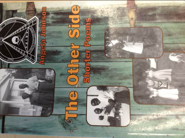 The Other Side - J. D. (Orchard Books (NY)) book collectible [Barcode 9780531301142] - Main Image 1