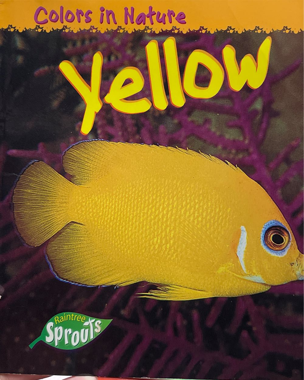 Yellow - Nancy Harris (Harpercollins Childrens Books) book collectible [Barcode 9781410907301] - Main Image 2