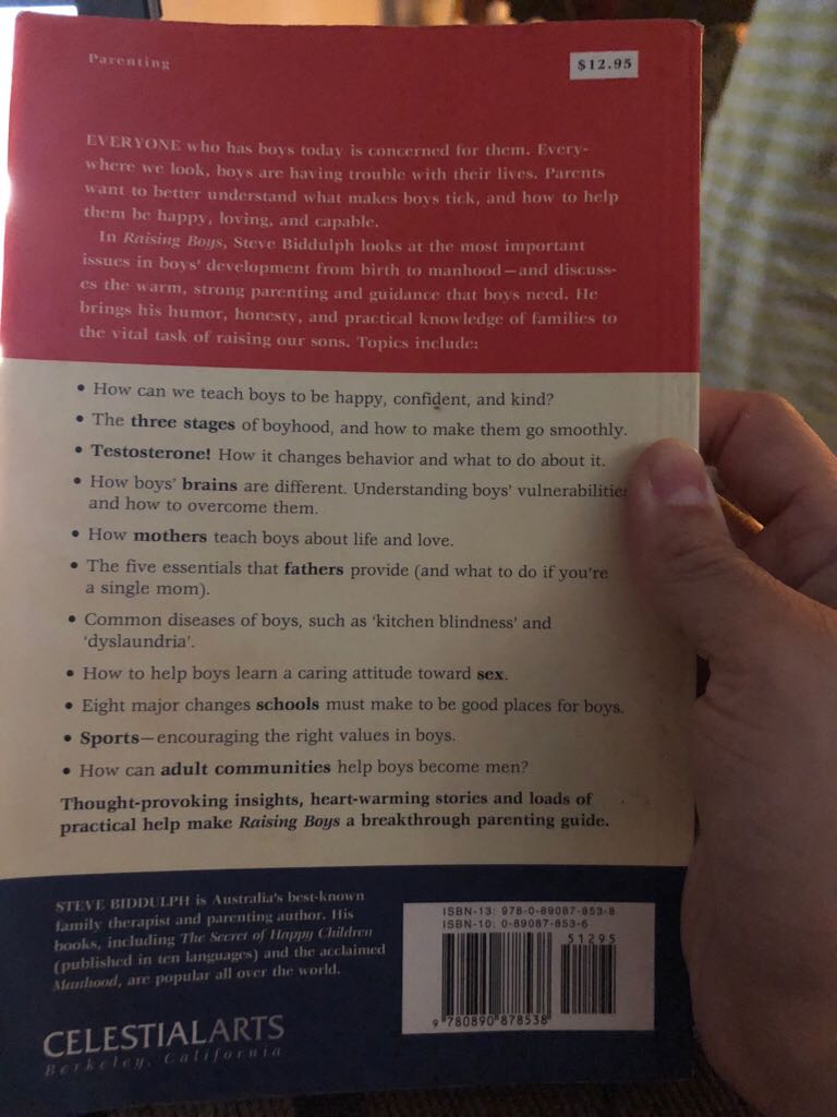 Raising Boys - Steve Biddulph (Celestial Arts) book collectible [Barcode 9780890878538] - Main Image 2