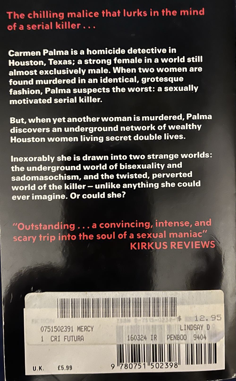 Mercy - David Lindsey (Warner Books - Paperback) book collectible [Barcode 9780553289725] - Main Image 2