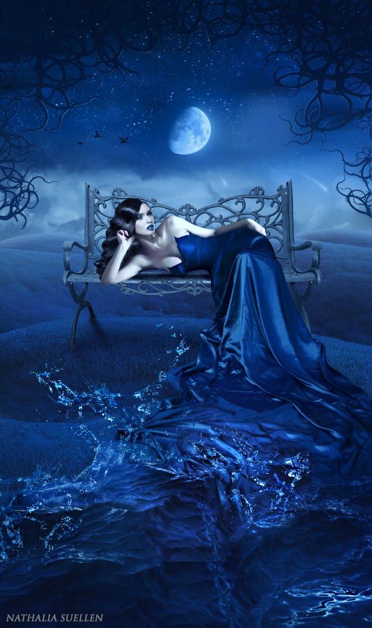 The Black Book (Diary Of A Teenage Stud)