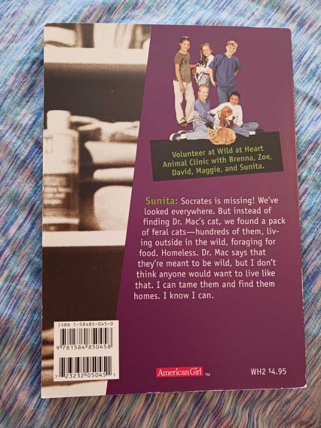 Homeless - Laurie Halse Anderson (Pleasant Company Publications - Paperback) book collectible [Barcode 9781584850458] - Main Image 2