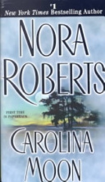 How The Light Gets In