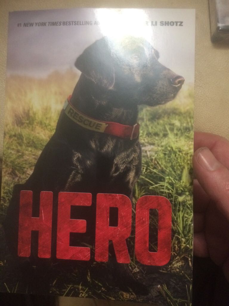 Hero - Jennifer Li Shotz (Harper - Paperback) book collectible [Barcode 9780062560391] - Main Image 1