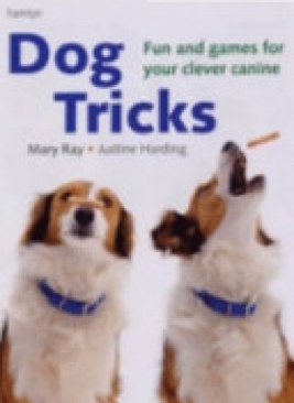 The Dictionary Of Symbols