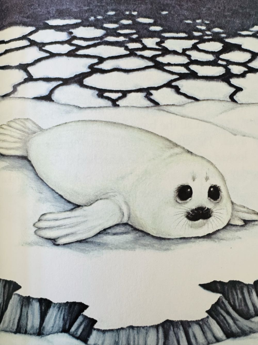 Trapper - Stephen Cosgrove (Grolier Enterprises Inc. - Hardcover) book collectible [Barcode 0843105941] - Main Image 3