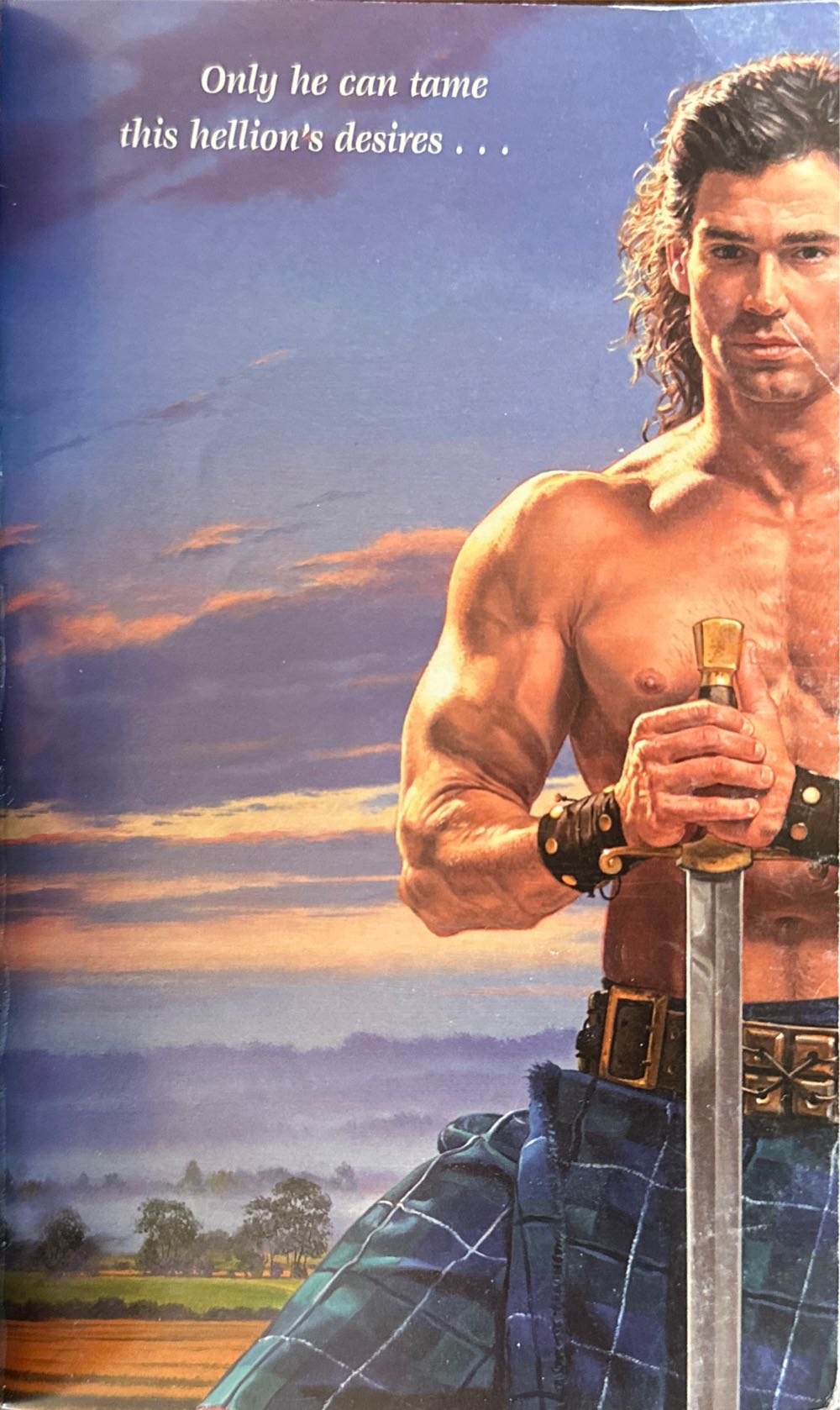 The Hellion and the Highlander - Lynsay Sands (Avon - Audiobook) book collectible [Barcode 9780061344794] - Main Image 3