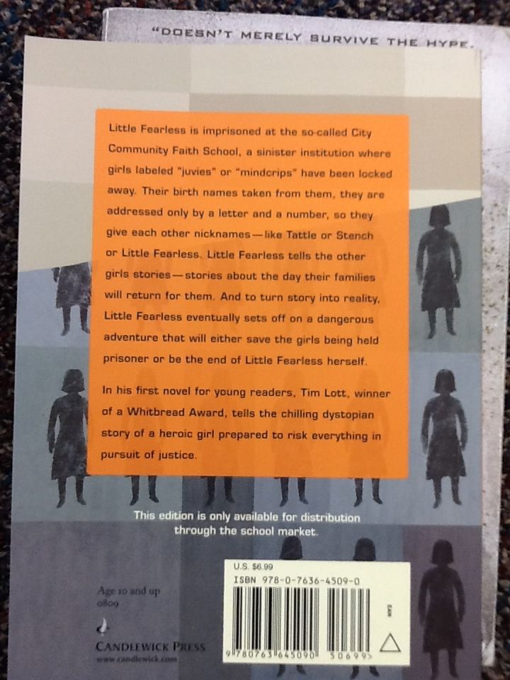 Fearless - Time Lott book collectible - Main Image 2