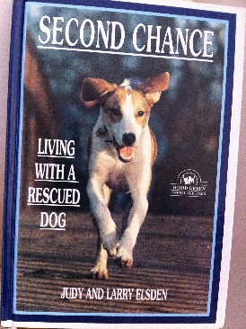 Second Chance  (Ringpress Books Ltd) book collectible [Barcode 9780948955143] - Main Image 1