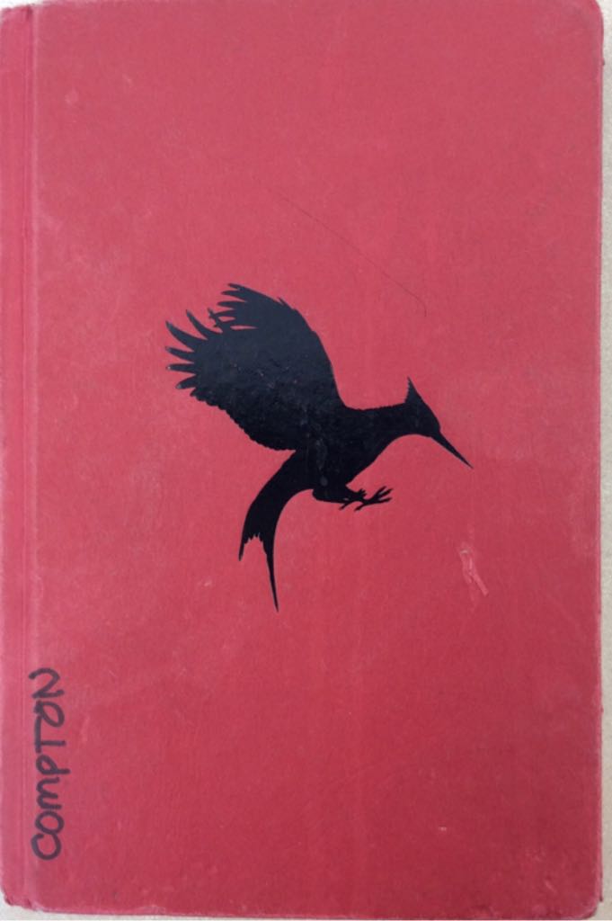 Girl With A Pearl Earring