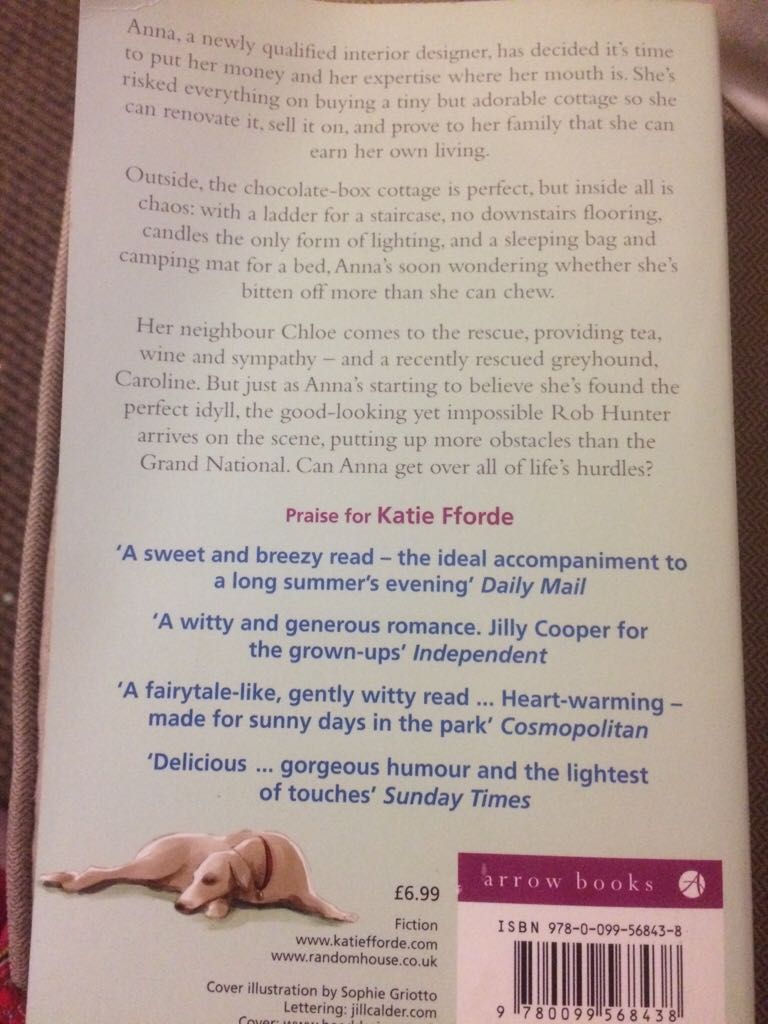Practically Perfect - Katie Fforde (Arrow Books - Paperback) book collectible [Barcode 9780099568438] - Main Image 2