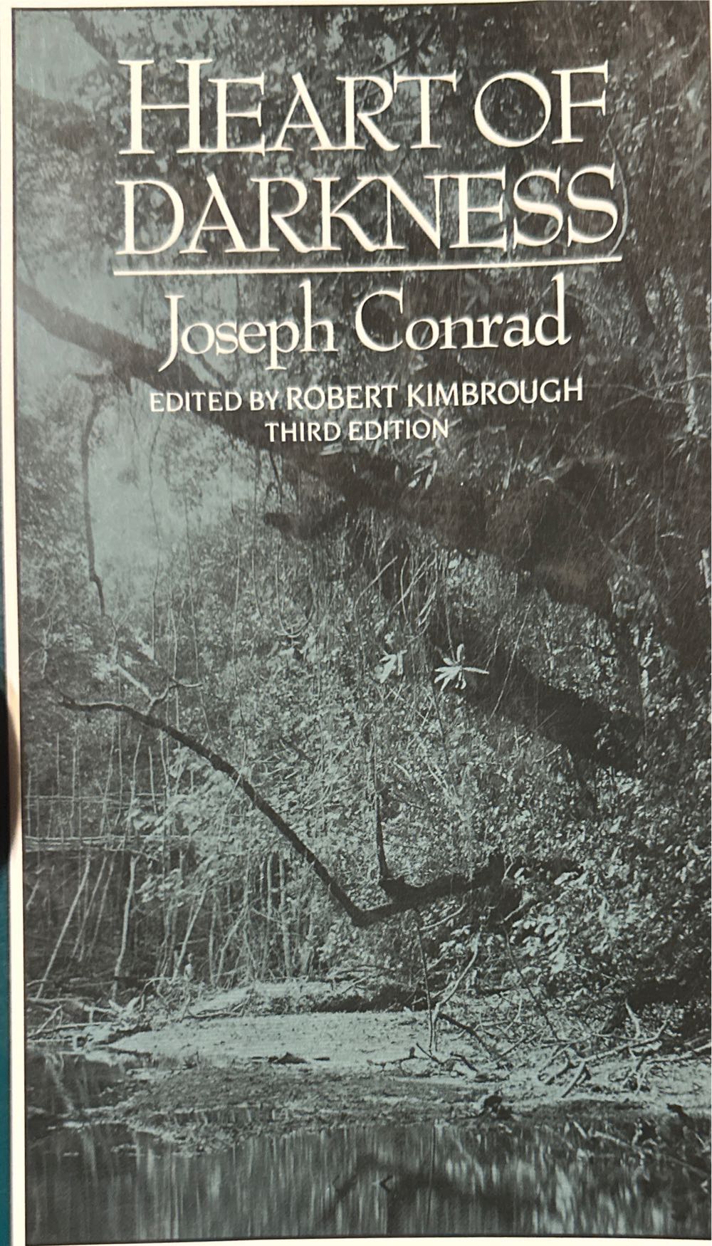 Heart Of Darkness - Joseph Conrad (W. W. Norton & Company, Inc. - Paperback) book collectible [Barcode 9780393955521] - Main Image 3