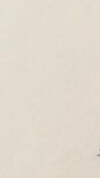 Invader - C. J Cherryh (Daw Books - Hardcover) book collectible [Barcode 9780886776381] - Main Image 2