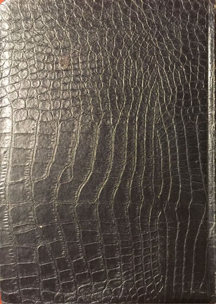 The Message - Eugene H. Peterson (Navpress Publishing Group) book collectible [Barcode 9781576834503] - Main Image 2