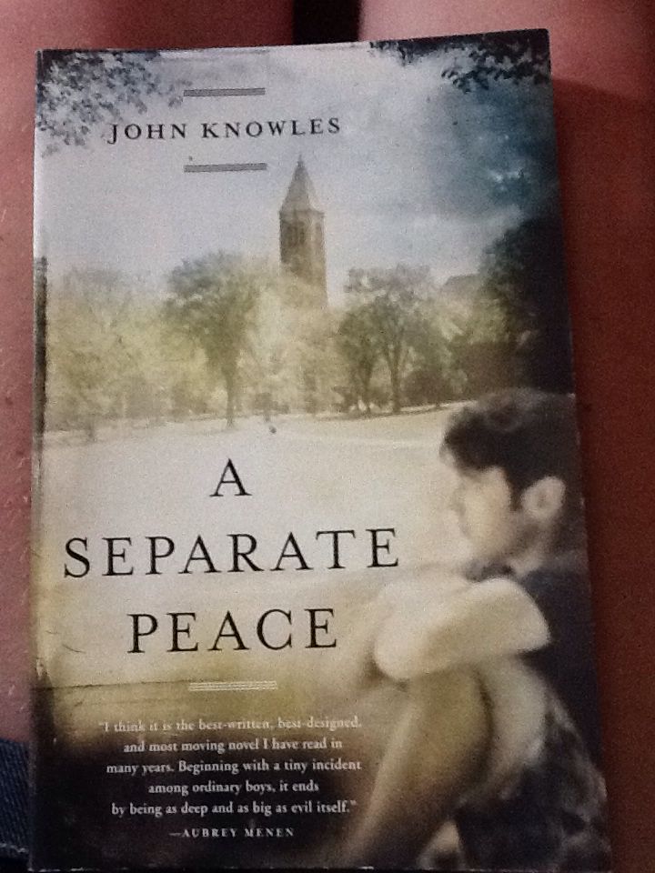 The Spiderwick Chronicles