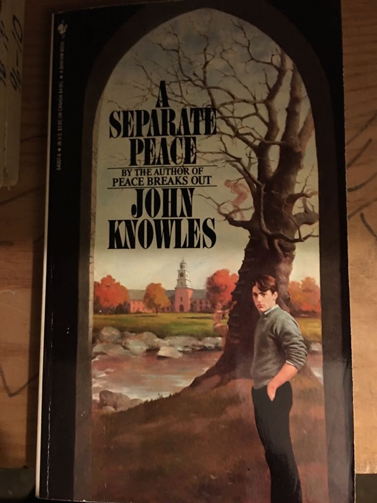 A Separate Peace  (Bantam Books - Paperback) book collectible - Main Image 1