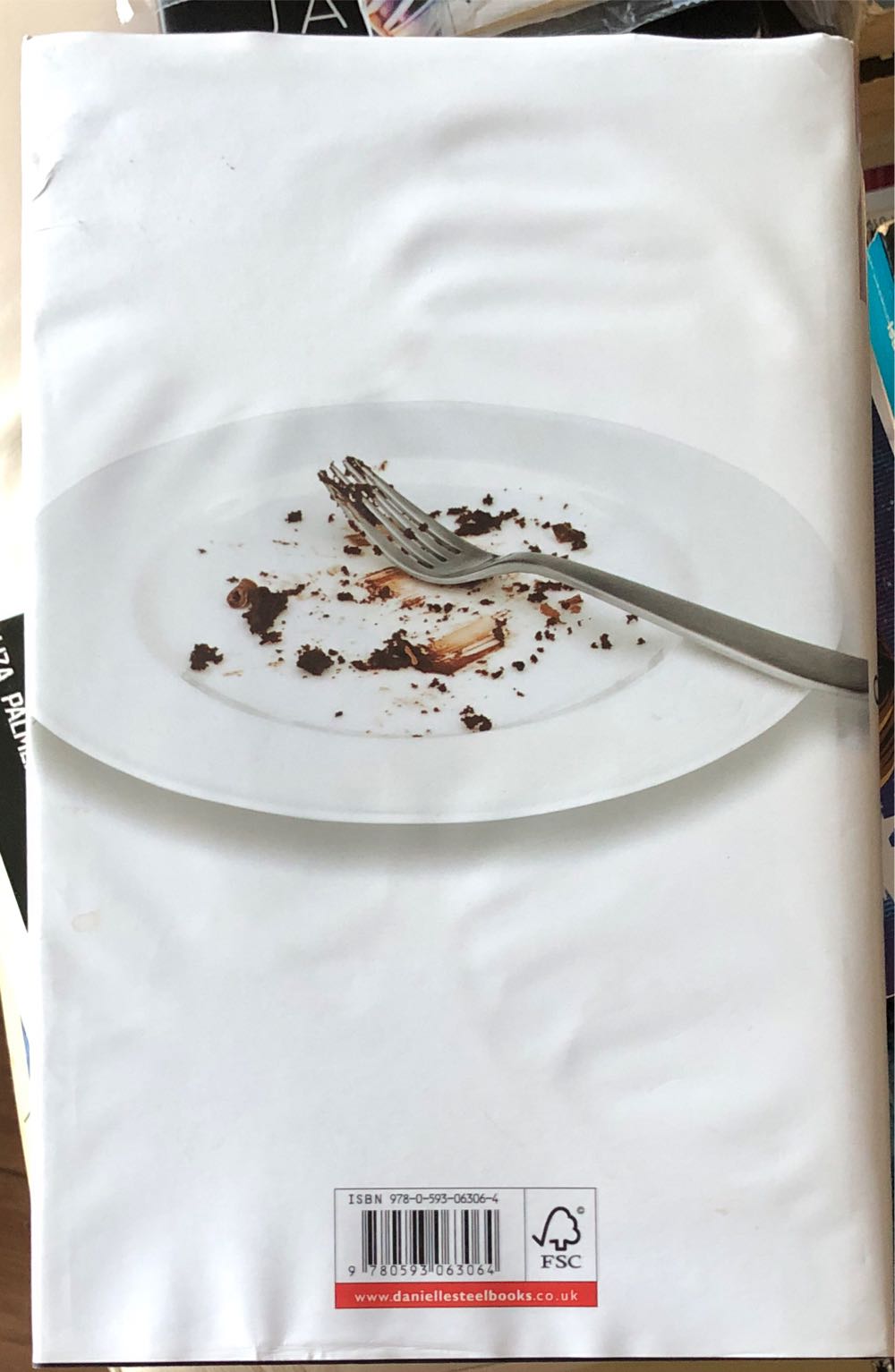 Big Girl - Danielle Steel (Bantam Press - Hardcover) book collectible [Barcode 9780593063064] - Main Image 2