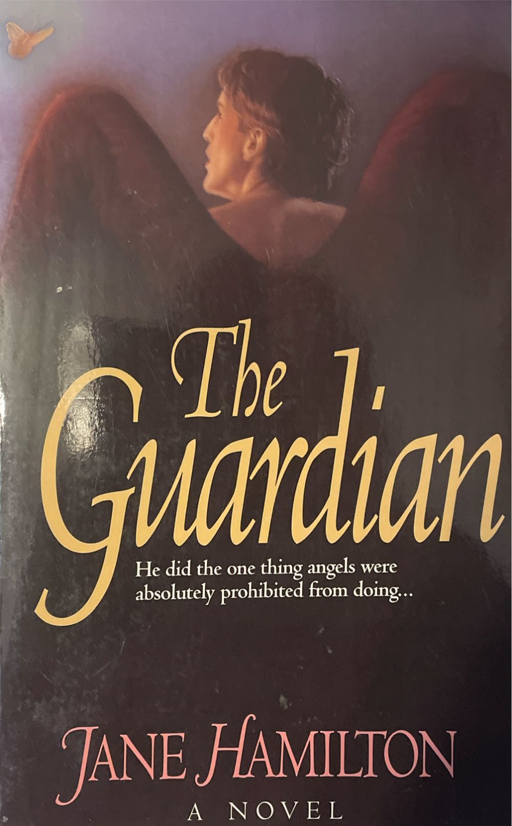 The Guardian - Jane Hamilton (Thomas Nelson Publishers - Paperback) book collectible [Barcode 9780785282099] - Main Image 4