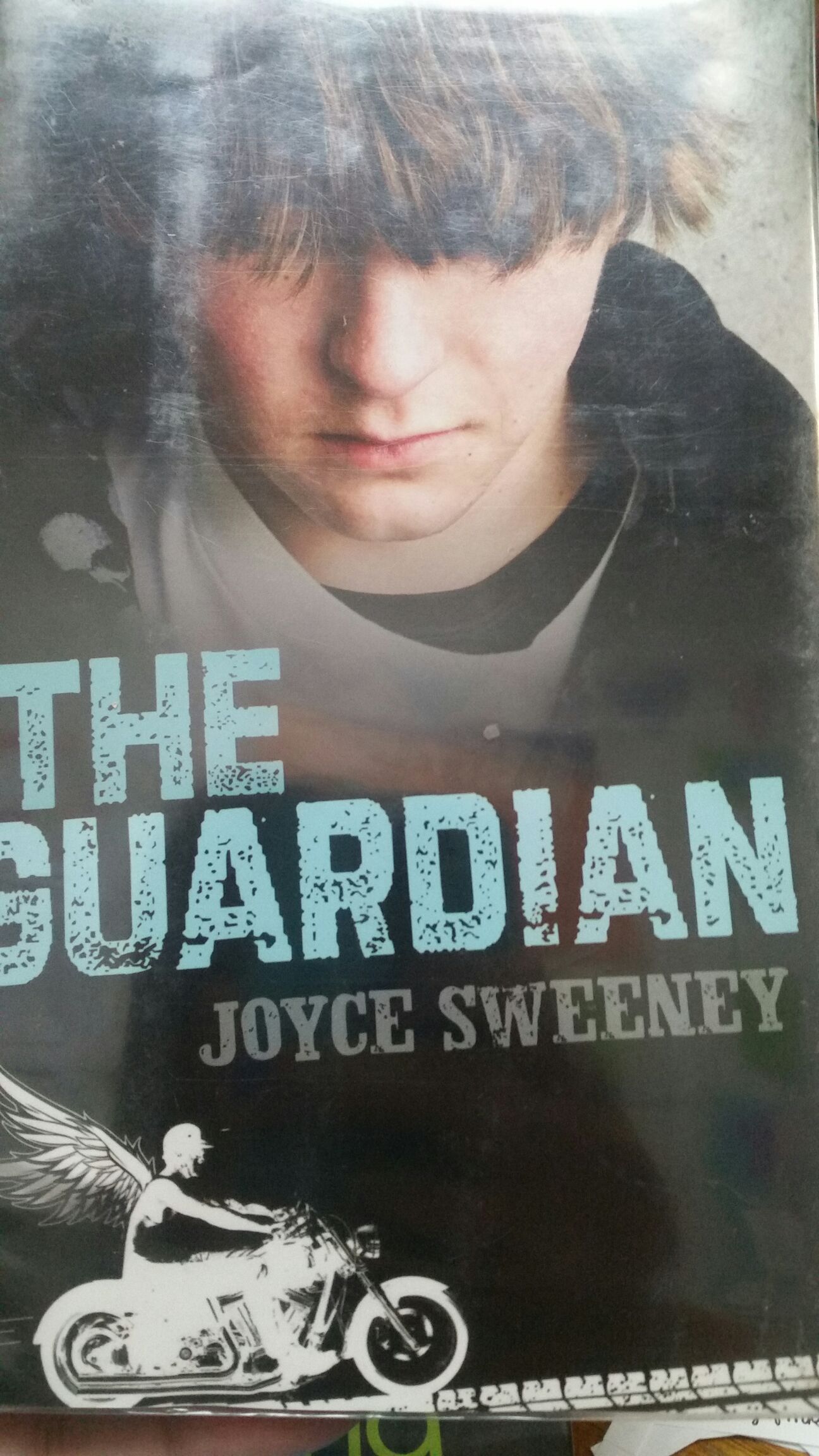 The Guardian book collectible - Main Image 1