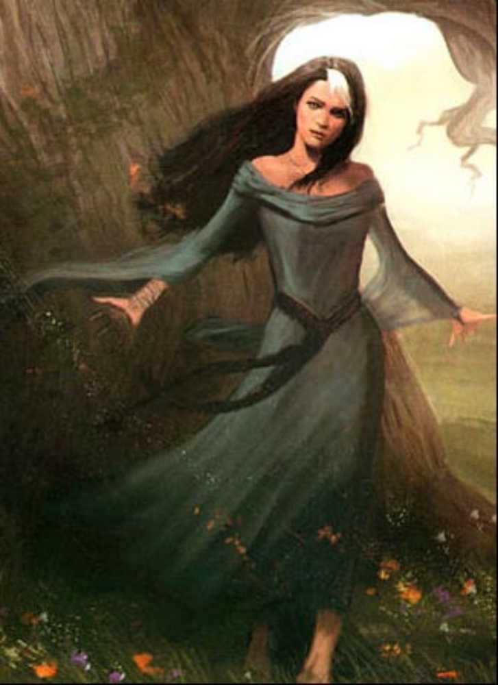 Polgara the sorceress - David Eddings (Del Ray - Paperback) book collectible [Barcode 9780345422552] - Main Image 3