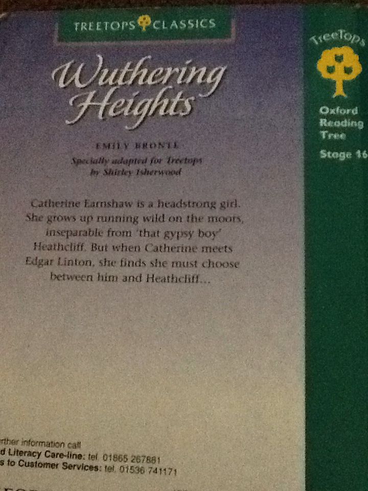 Wuthering Heights - Emily Bronte book collectible [Barcode 9780199193288] - Main Image 2