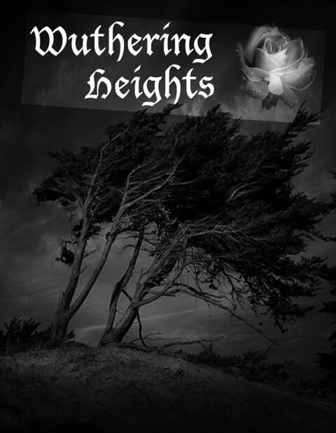 Wuthering Heights  (Dalmation Press Classics) book collectible [Barcode 9781403736703] - Main Image 1