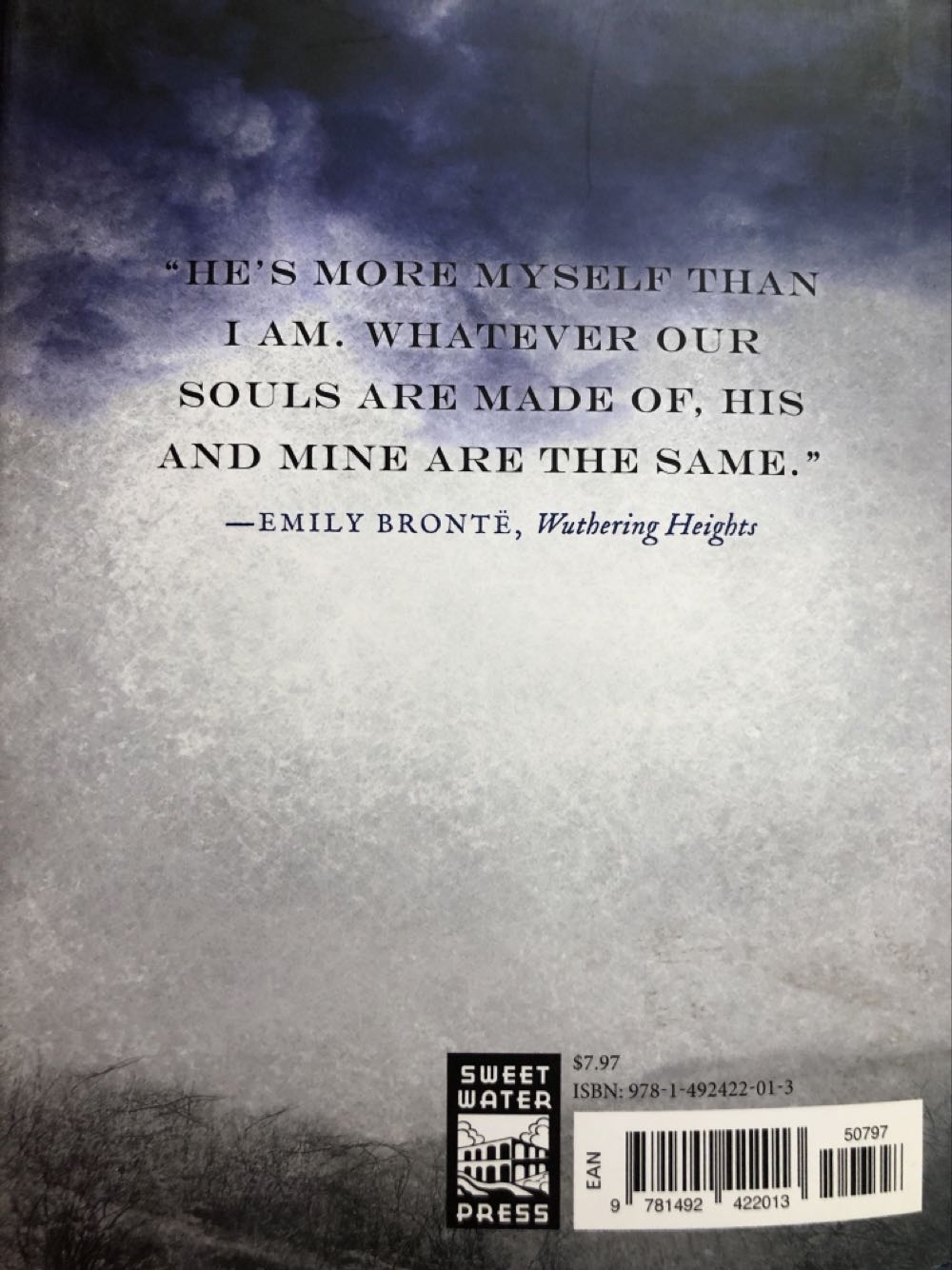 Wuthering Heights (Lifetime Library) - Emily Bronte (- Hardcover) book collectible [Barcode 9781492422013] - Main Image 2