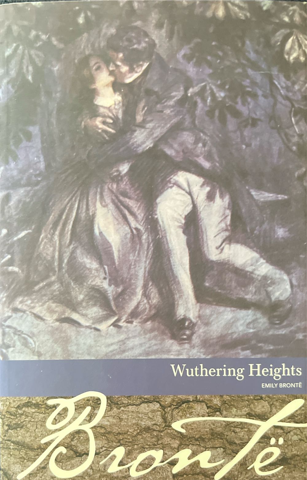 Wuthering Heights - Emily Bronte͏̈ (Borders - Paperback) book collectible [Barcode 9781587264122] - Main Image 2