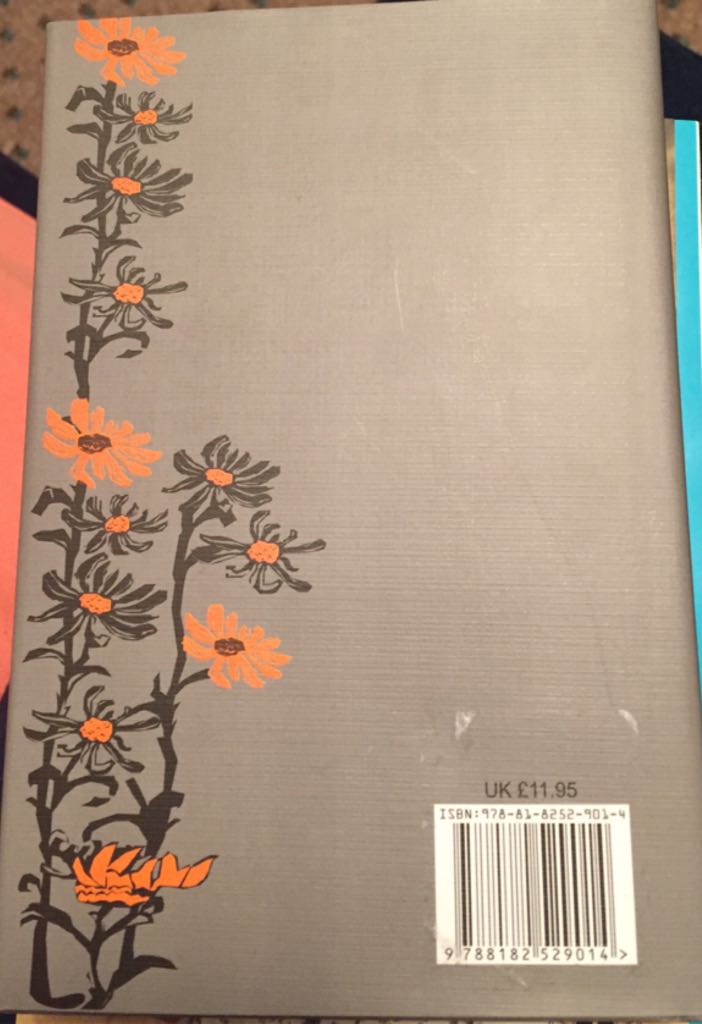 Wuthering Heights - Dorothy Cannell (VIVI Books - Hardcover) book collectible [Barcode 9788182529014] - Main Image 2