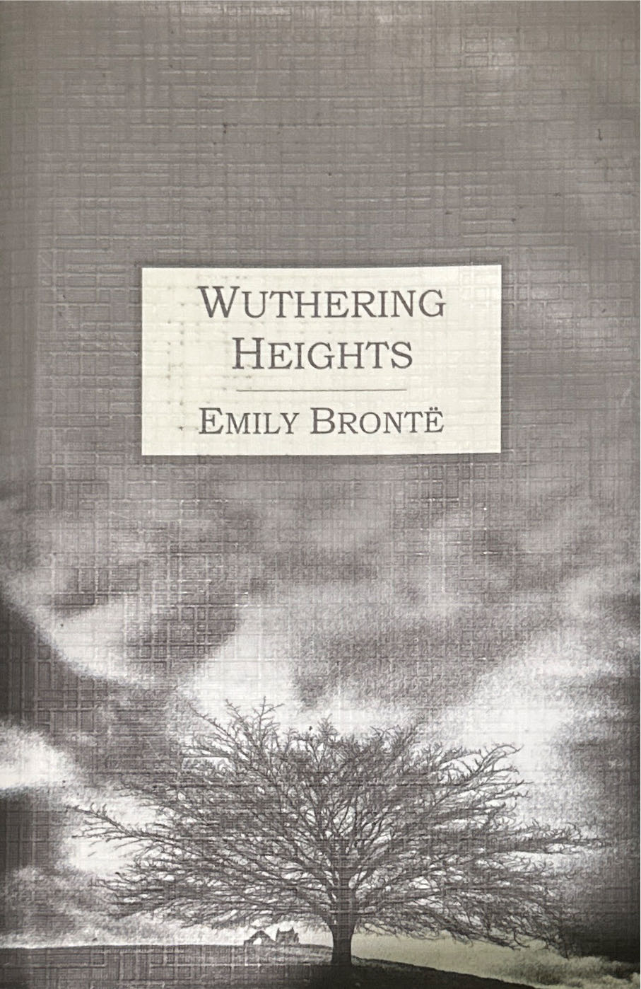 Wuthering Heights - Dorothy Cannell (VIVI Books - Hardcover) book collectible [Barcode 9788182529014] - Main Image 3