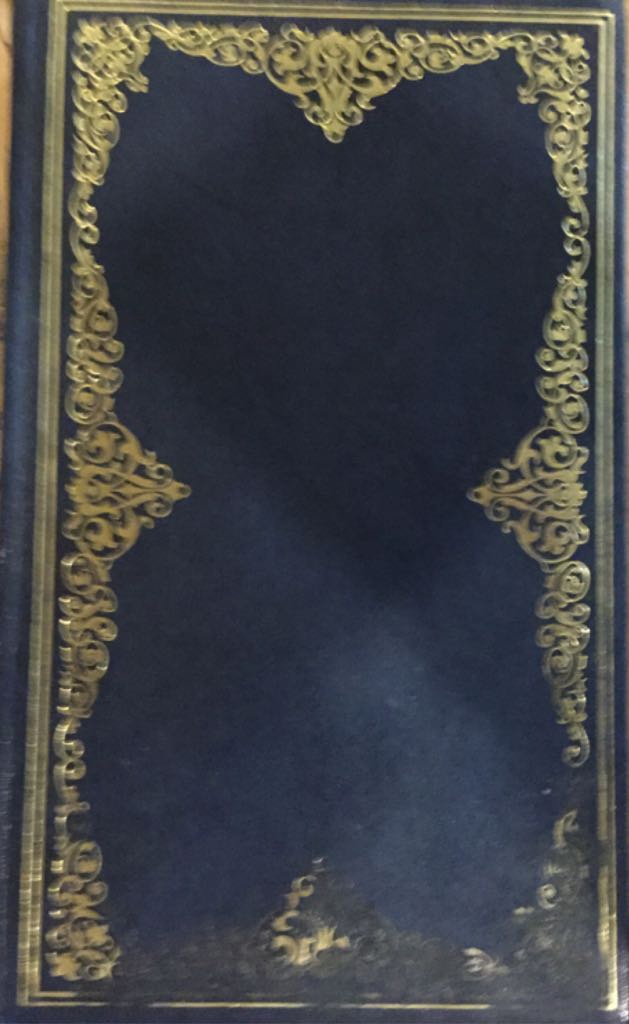 Image 3533460